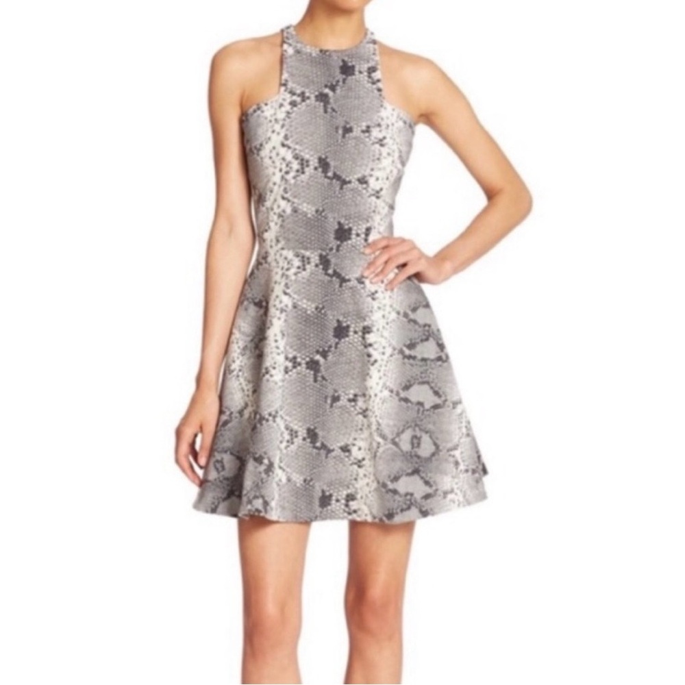 ELIZABETH and JAMES Dress Snakeskin Print Fit & Flare Mini Womens Size 0